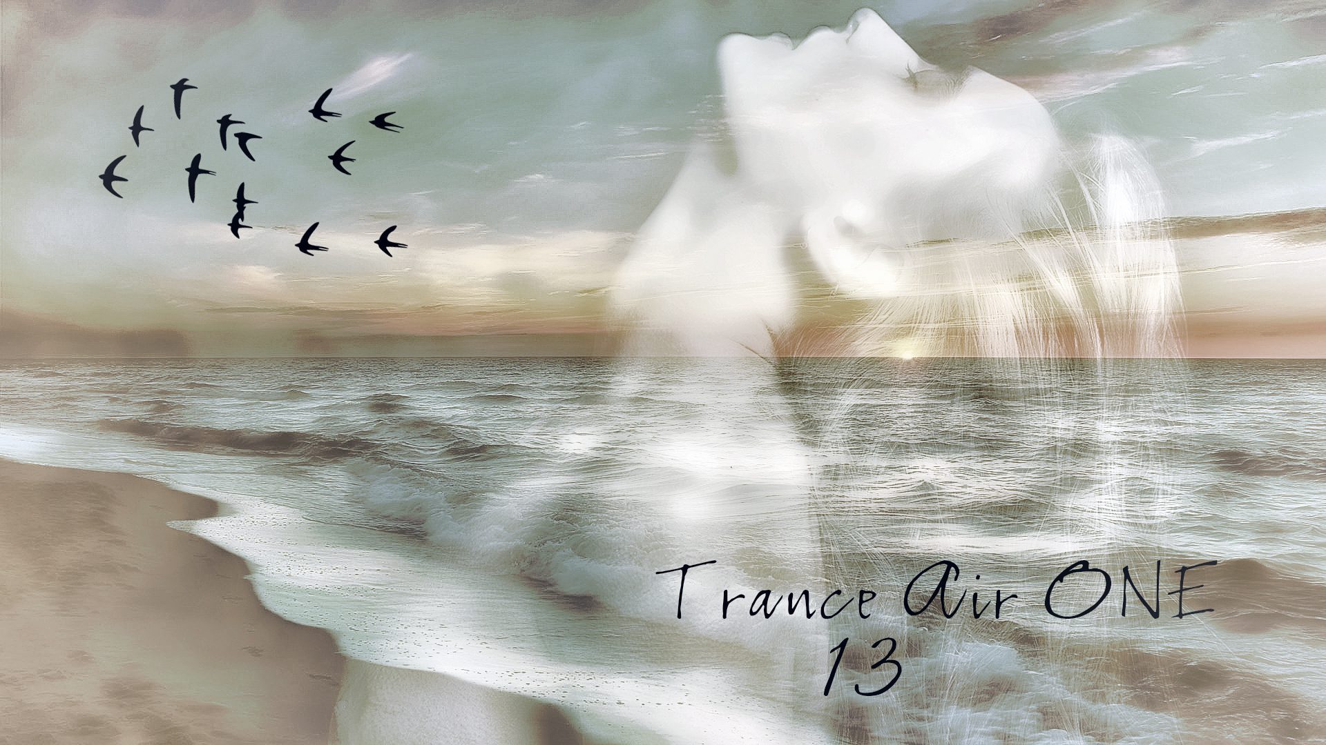 Trance Air ONE 13.